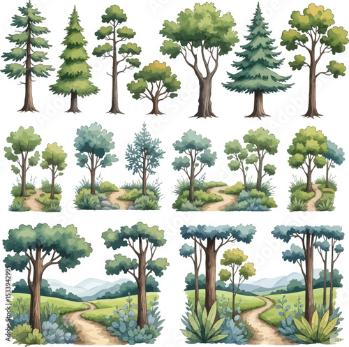 Watercolor Illustration of Diverse Tree Types and Serene Forest Landscapes