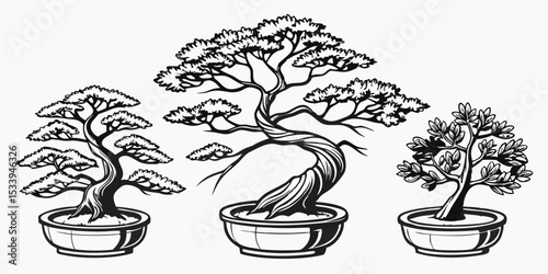 Three bonsai trees illustration for zen garden japanese art and miniature tree hobby with black and white style vector design