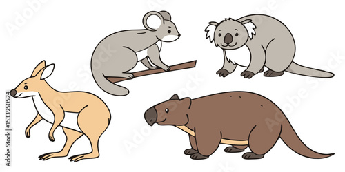 Explore australia wildlife illustration featuring kangaroo koala and wombat animal vector graphics design