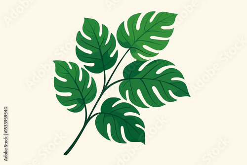 Monstera deliciosa leaf illustration. Tropical jungle foliage, Swiss cheese plant branch isolated on a light background. Botanical vector art for an exotic summer design concept.