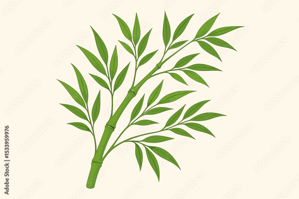 Obraz premium Green bamboo branch with leaves isolated on a light background. Botanical vector illustration of a tropical Asian plant. Natural flora element for spa, zen, and eco concepts.