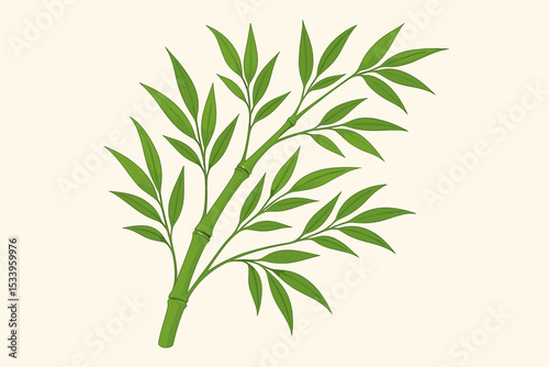 Green bamboo branch with leaves isolated on a light background. Botanical vector illustration of a tropical Asian plant. Natural flora element for spa, zen, and eco concepts.