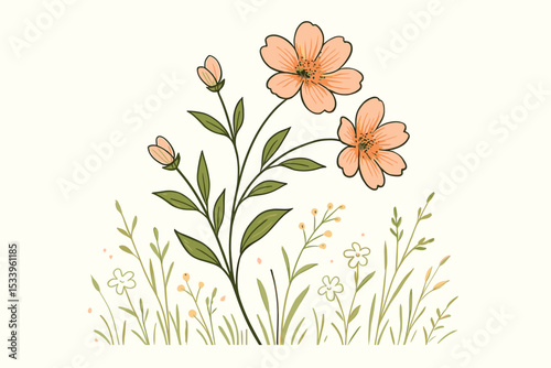 Hand drawn wildflower illustration. Delicate botanical drawing of a peach flower with green leaves. Elegant floral meadow plant isolated on a white background. Spring nature.