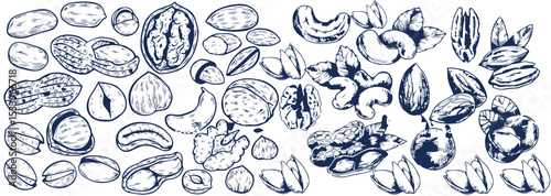 Hand-Drawn Nut and Seed Collection