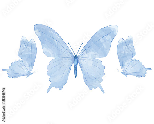 set of butterflies isolated on white	