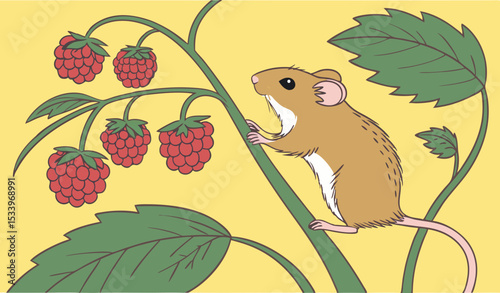 Harvest mouse on a plant eating berries, Indiana, USA on yellow background       