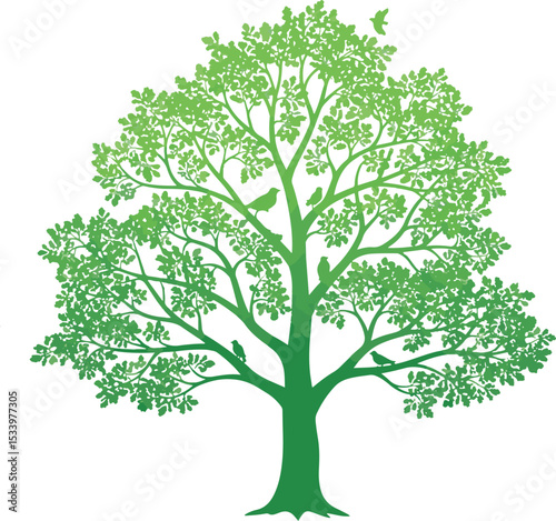 Silhouette of a lush green tree with birds perched in branches for nature conservation concepts