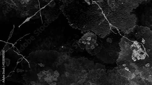 grunge texture overlay background