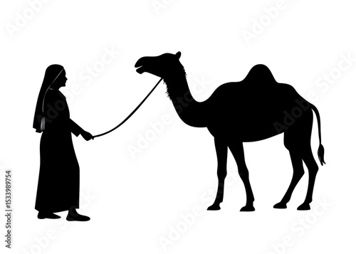 camel in desert