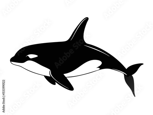 silhouette of a dolphin