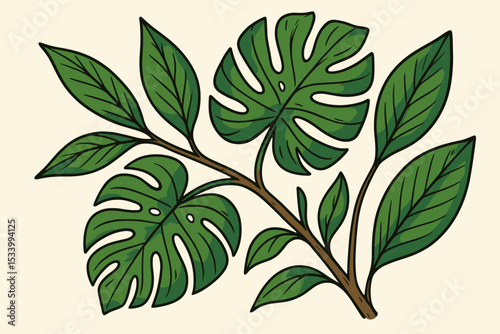 Monstera deliciosa leaf branch vector illustration. Tropical jungle foliage design element. Hand-drawn botanical art of Swiss cheese plant. Exotic summer nature graphic for print.