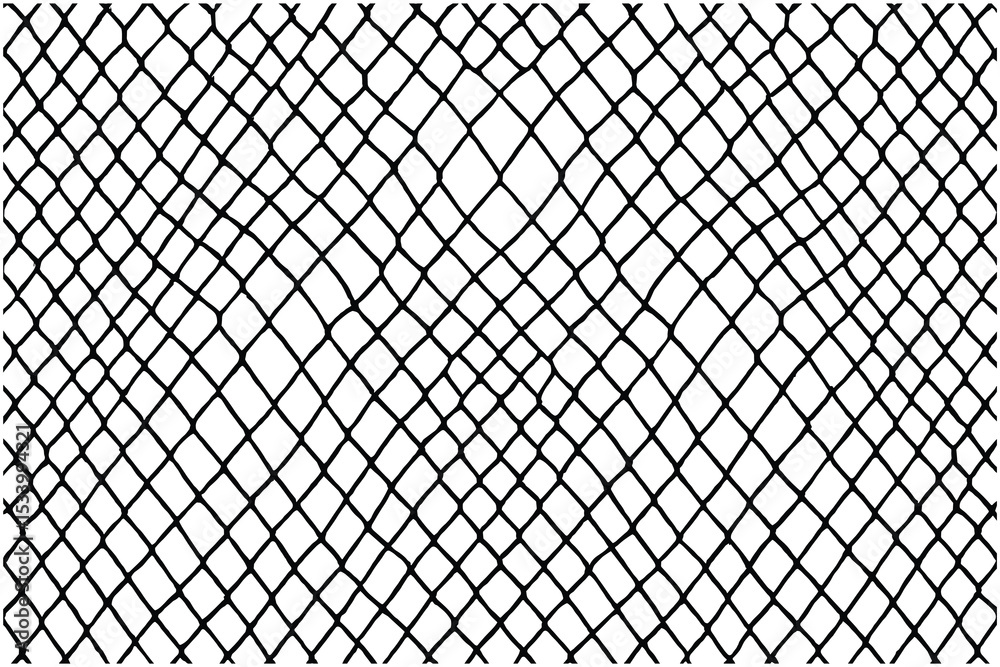 Fototapeta premium Classic fishnet pattern vector illustration in black and white.