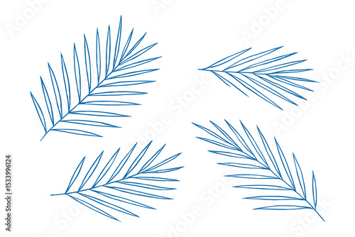 Detailed vector illustration of tropical palm fronds on a white background.