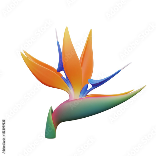bird of paradise flower