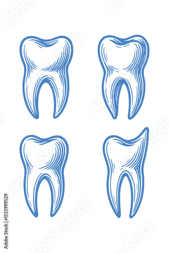Dental vector set featuring four teeth in a clean, blue outline style.