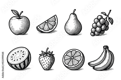 A detailed vector illustration of various types of fruits.