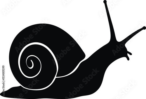 Snail Silhouette Vector Illustration

