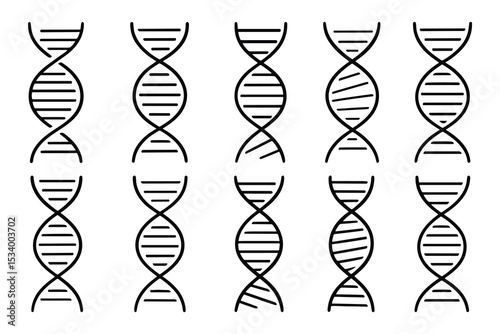 DNA vector set featuring ten strands in a black outline style.