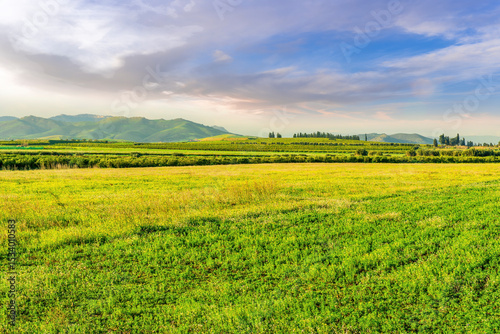 Fototapeta Naklejka Na Ścianę i Meble -  Scenic view at beautiful spring or summer sunset in a shiny meadow with golden grass and sun rays, deep beautiful cloudy sky and road, valley landscape