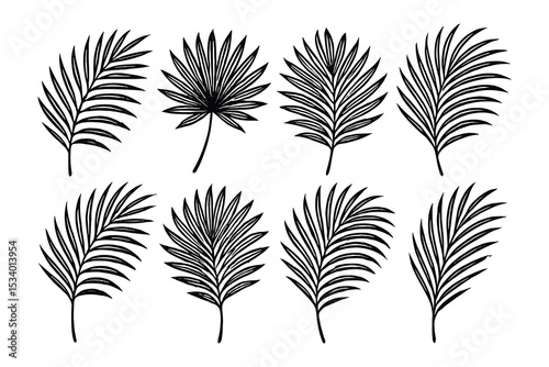 Illustrations displaying various palm leaves with intricate linework and botanical sketch style on a white backdrop.