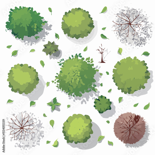 Overhead view of various stylized trees and shrubs with shadows and scattered leaves isolated on a white background, vector illustration.