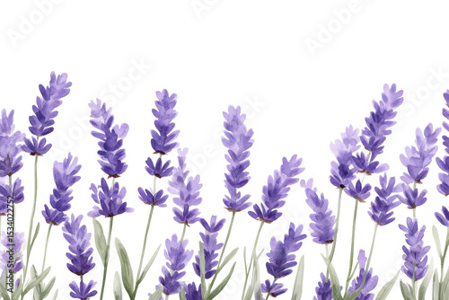 Seamless border design featuring vibrant watercolor lavender flowers gently swaying in a breeze, perfect for adding a touch of nature to any project or decor