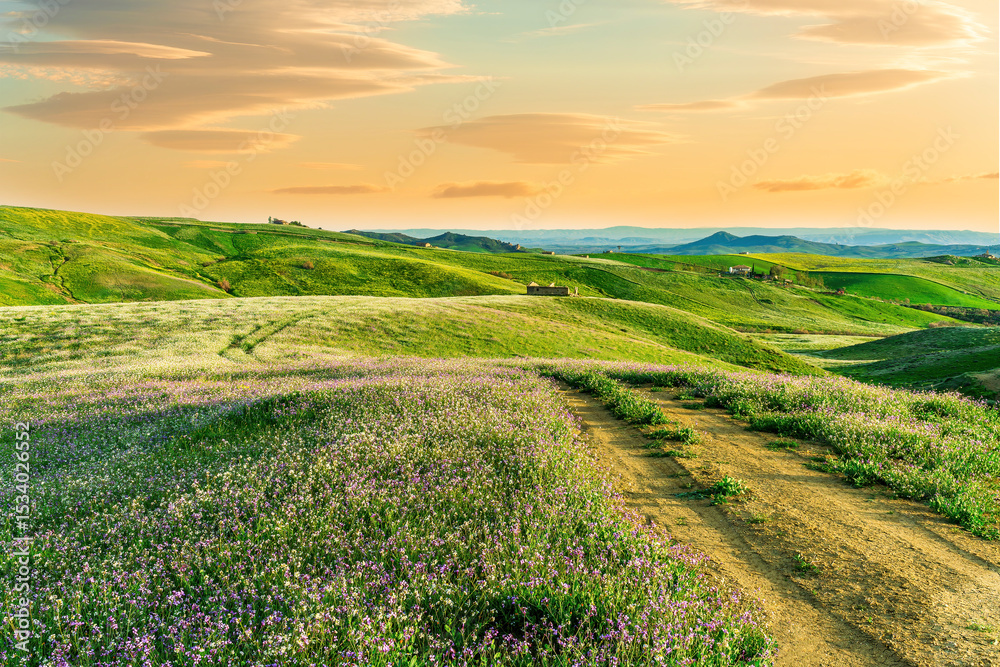 Fototapeta premium rustic road in spring meadow landscape with green grass, flowers, amazing hills and beautiful path leading to a village. Agricultural landscapw of europe.