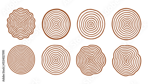 Collection of Tree Rings Sections in Brown Lineart; Wood Cross Sections Showing Growth and Years of Forest Tree