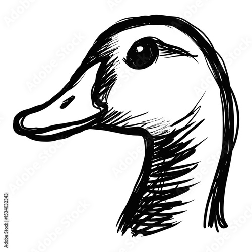 Sketch of a duck's head with detailed features and expression  