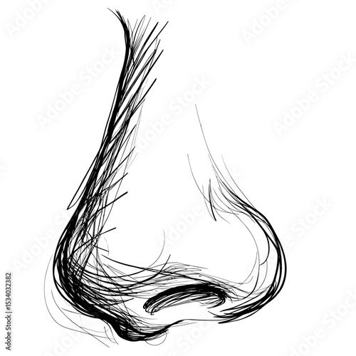 Line art illustration of a human nose in minimalist style  