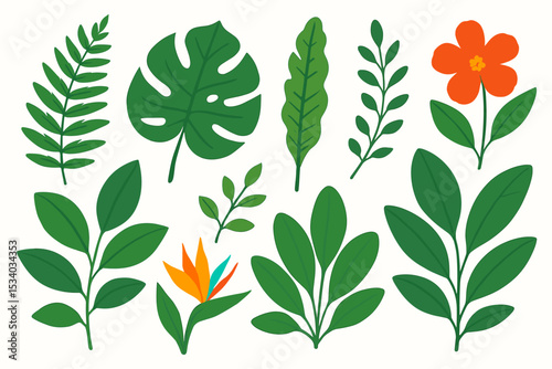 Set of tropical leaves and flowers. Jungle plant collection with monstera, fern, banana leaf, and bird of paradise. Vector illustration for summer design. Botanical floral elements.