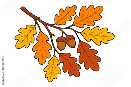Autumn oak branch with acorns and colorful leaves. Cartoon vector illustration of a fall plant. Seasonal nature decoration for autumn. Forest foliage clip art isolated on white.