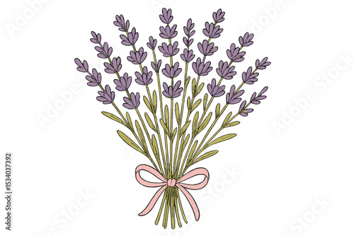 Lavender bouquet vector illustration with a pink ribbon bow. Hand-drawn bunch of purple flowers. Botanical doodle art for aromatherapy, cosmetic products, wedding invitations, and decor.