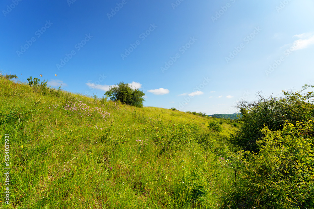 Fototapeta premium National Nature Reserve of the Seine Hillsides in Vexin Français Regional Nature Park