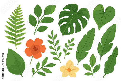 Tropical leaf and flower collection. Set of exotic jungle plants like monstera, fern, banana leaf and hibiscus. Botanical floral illustration for summer design. Isolated vector elements.