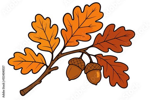 Oak branch with colorful autumn leaves and acorns vector illustration. Fall season foliage graphic element. Seasonal botanical drawing isolated on white. Nature and Thanksgiving concept.