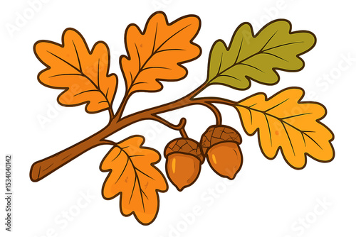 Cartoon oak branch with colorful autumn leaves and acorns. Vector illustration of seasonal fall foliage. Nature plant icon for Thanksgiving, isolated on white. Forest tree design.