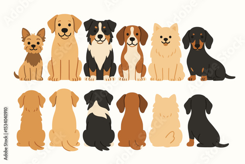 Cute dog collection vector illustration. Set of different dog breeds sitting, front and back view. Canine pets like retriever, terrier, dachshund, shepherd, pomeranian in a lineup.