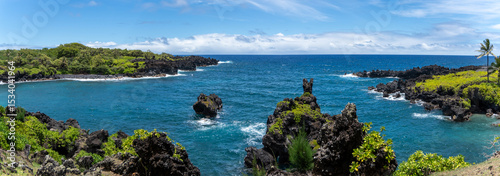 Panoramic view of a rocky coastline with lush vegetation and turquoise water under a blue sky.
