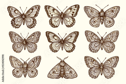 Set of vintage butterflies and moth illustrations. Hand drawn insect collection in engraving style. Retro entomology sketch. Antique biological drawing of fauna for design.