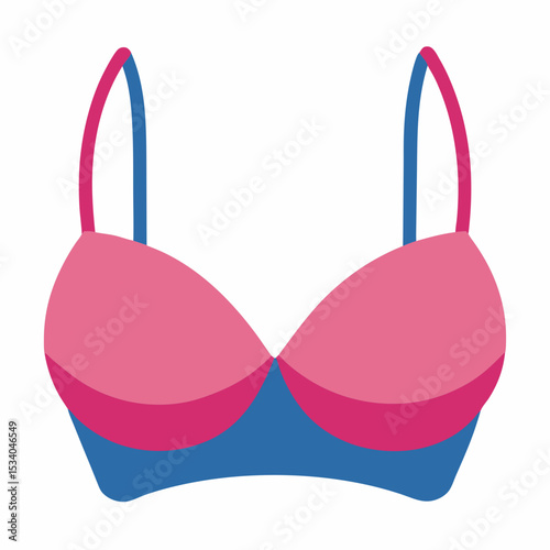 Simple Bra Vector on White