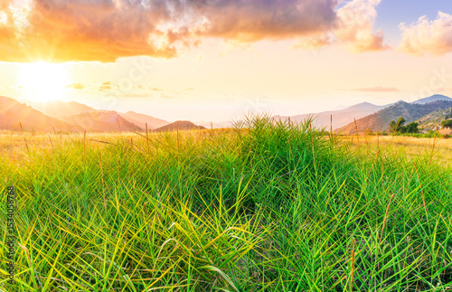 Fototapeta Naklejka Na Ścianę i Meble -  summer of spring landscape of green grass meadow with great beautiful mountains and awersome golden cloudy sunset