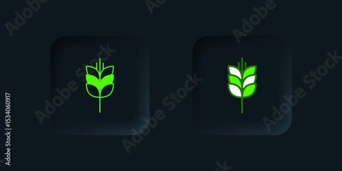 Green Cereals set with rice, wheat, corn, oats, rye, barley icon isolated on black background. Ears of wheat bread symbols. Black square button. Vector
