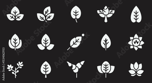 Elegant leaf icons nature black and white inspired design perfect for branding projects