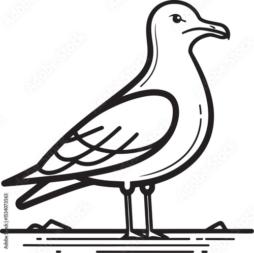 Seagull Vector Illustration, Sketch Drawing Line Linear Symbol Icon Engraving Coloring Book, Hand-drawn Black and White Isolated