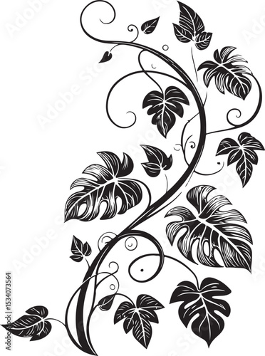 Tropical vine Vector Illustration, Sketch Drawing Line Linear Symbol Icon Engraving Coloring Book, Hand-drawn Black and White Isolated
