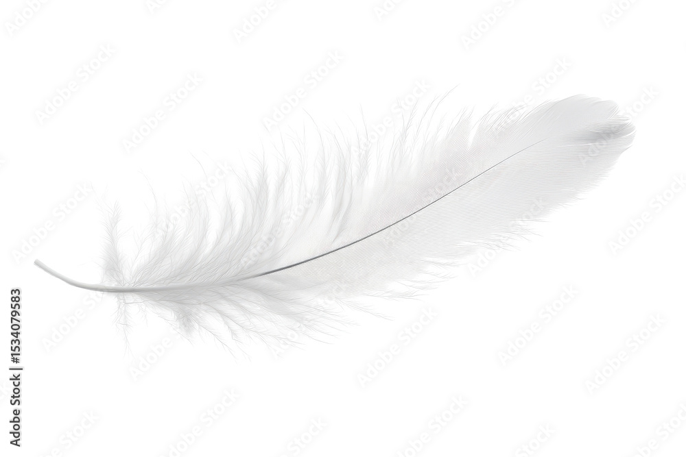 Obraz premium White feather with delicate details isolated on transparent background for artistic and decorative use in various creative projects and designs