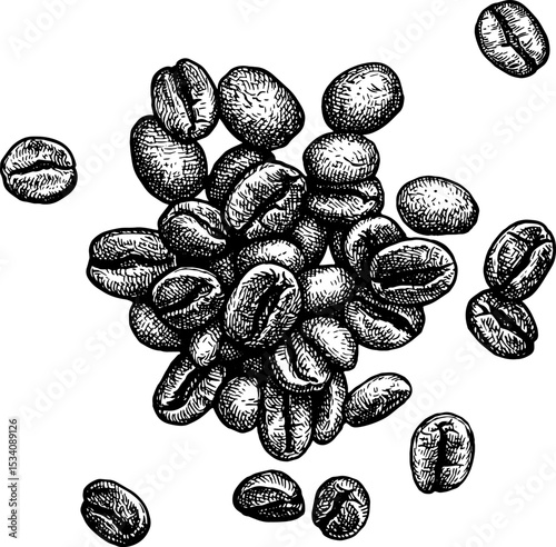 Ink sketch of a small pile of coffee beans.