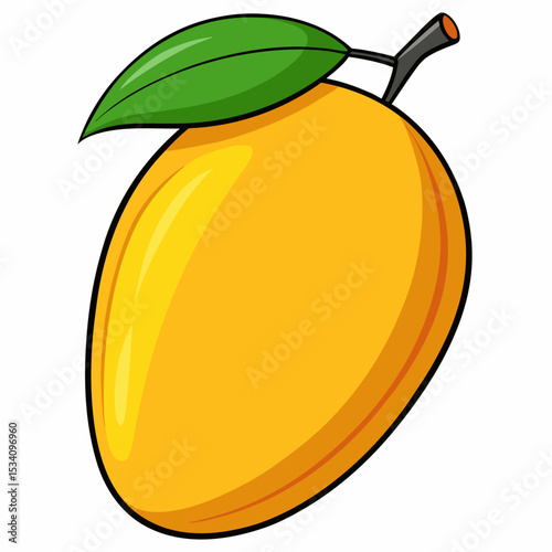 vector illustration of mango fruit