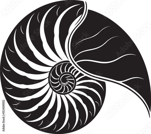 vector illustration of spiral seashell